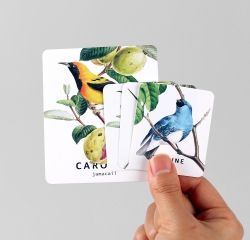 卡片套装-09 鸟