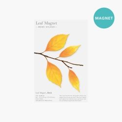 Leaf Magnet-桦树叶（4p一套）