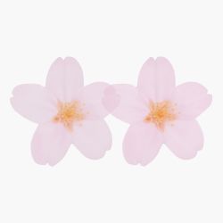 StickyLeaf_T-Cherry Blossom_Pink_S