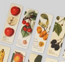 书签盒—06 Fruits