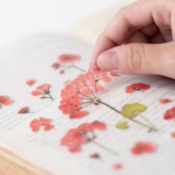 Press Flower Stickers_Geranium