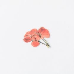 Press Flower Stickers_Geranium