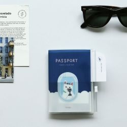 Poket passport case 01~04