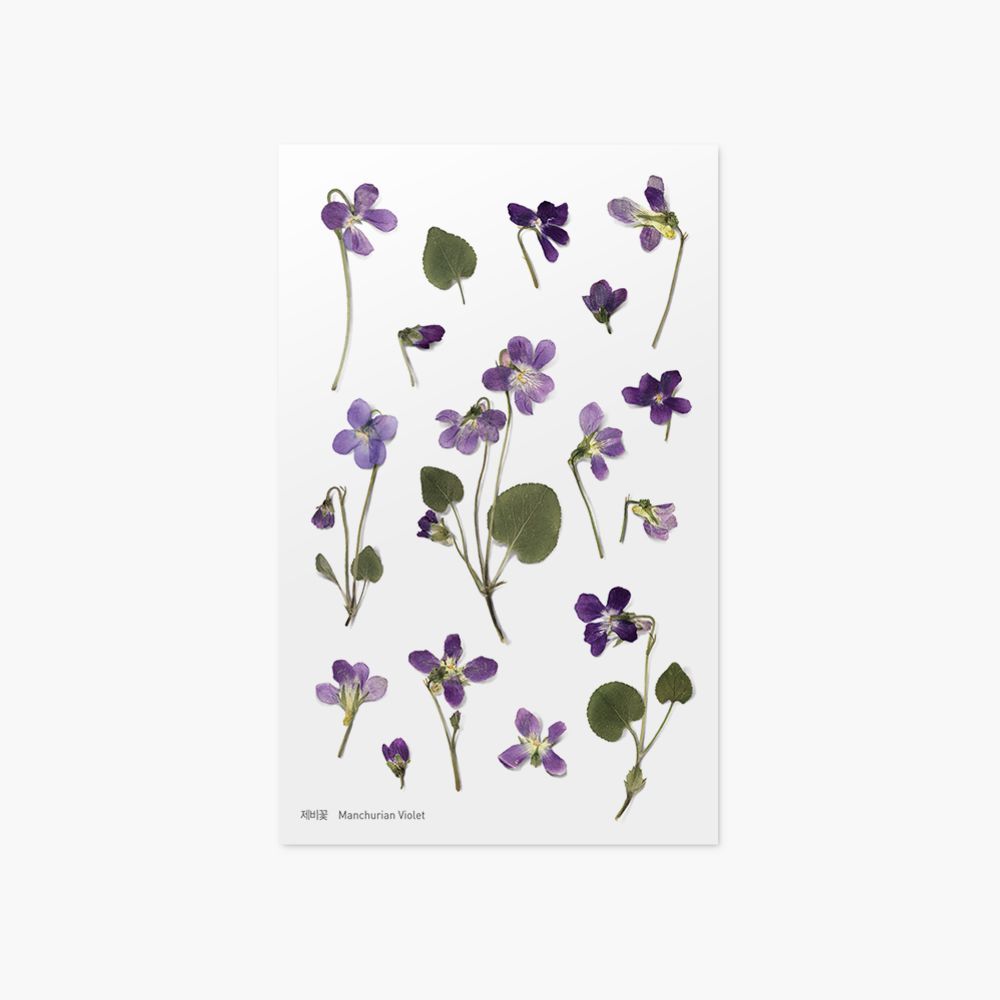 Press Flower Stickers_Manchurian violet