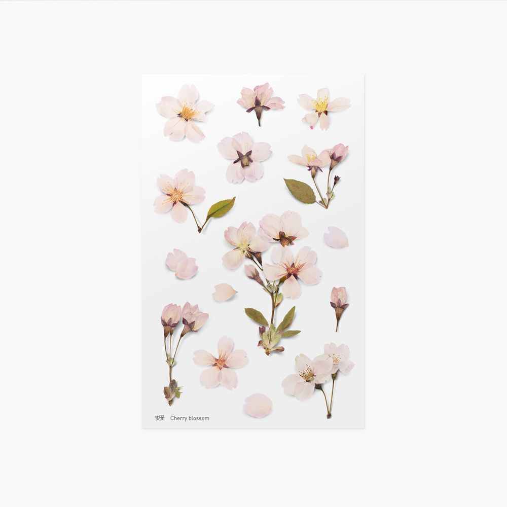 Press Flower Stickers_Cherry blossom