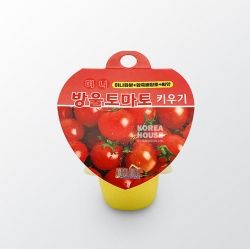 Mini Cherry Tomato Grow Kit 