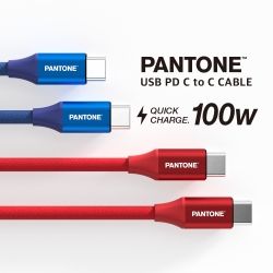 PANTONE USB PD C TO C CABLE