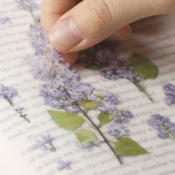 Press Flower Stickers_Lilac