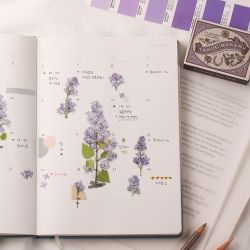 Press Flower Stickers_Lilac