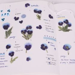 Press Flower Stickers_Pansy