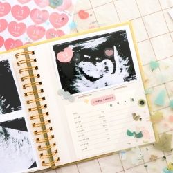 conitale pregnancy diary Album