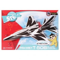 T-50B Condenser Airplane black eagles