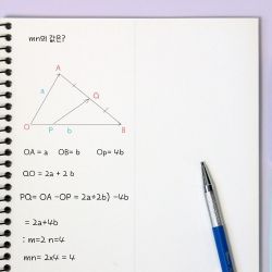 1/2 Mathematics Notebook 