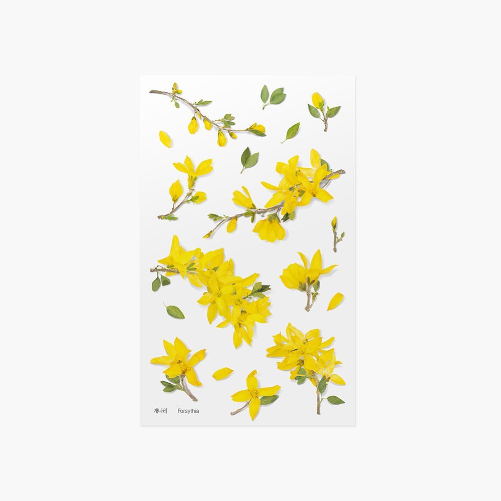 Press Flower Stickers_Forsythia
