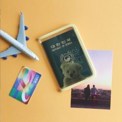 Dingdong Passport Case 