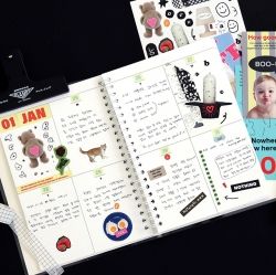Storage 6 Months Diary, Undated Weekly, with Stickers 4 Sheets  