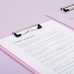 Cinnamoroll Hologram Clip Board (B)