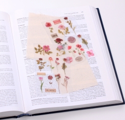Rub-on Sticker_Botanical Pink