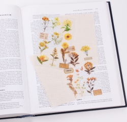 Rub-on Sticker_Botanical Yellow