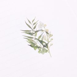 Rub-on Sticker_Botanical Green