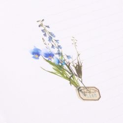 Rub-on Sticker_Botanical Blue
