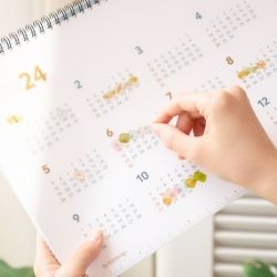 2024 2nd Planner A4 Wide, Weekly 