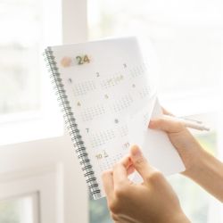 2024 2nd Planner Medium, Monthly 