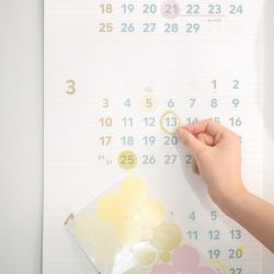 2024 Three Months Plan Wall Calendar Long 