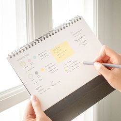 2024 Golden Holiday Desk Calendar Medium