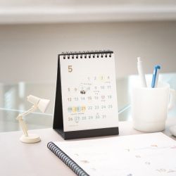 2024 Desk Calendar Mini 