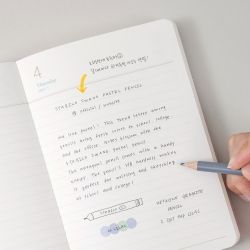 2024 Making Memory Planner Small, Daily 