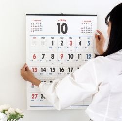 2024 Lunar A2 Wall Calendar - korean retro