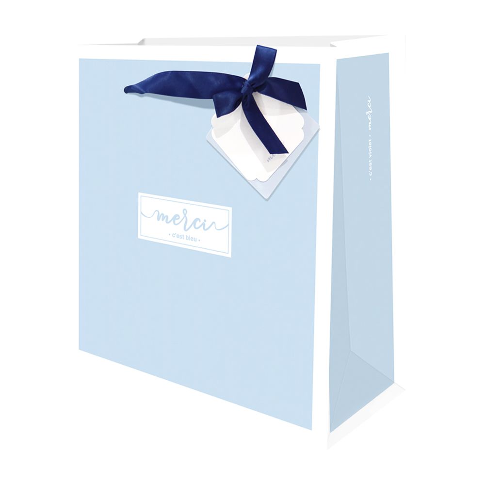 Ribbon Double Tag Sky Blue, Set of 10 