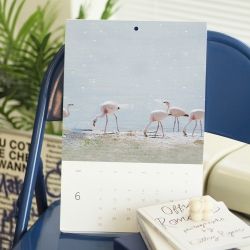 2024 Life Flow Wall Calendar 