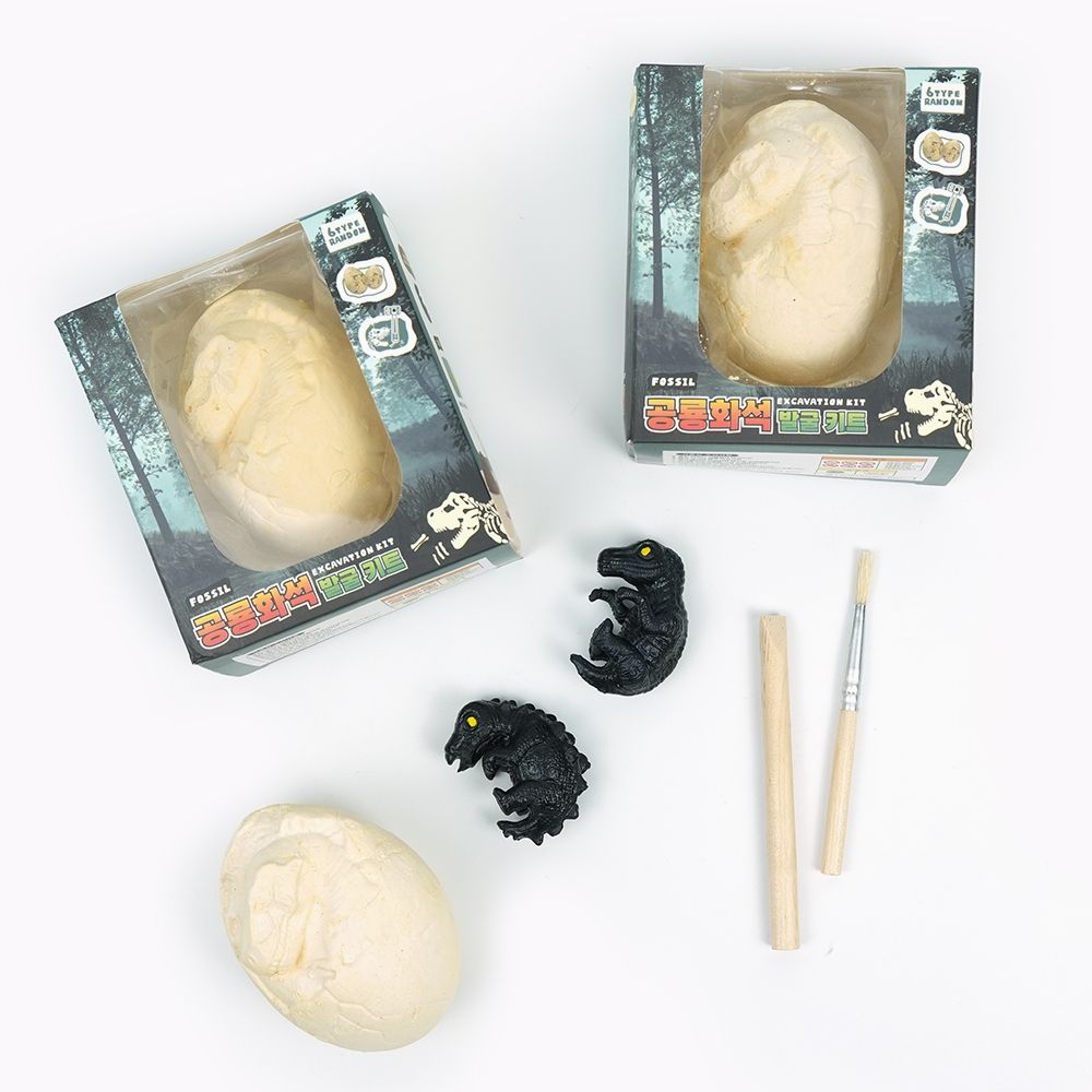 Dinosaur Fossils Excavation Kit, 12pcs