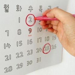 2024 Draw your own calendar