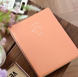 2024 The Temperature of the day Cash Book 