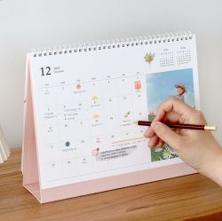 2024 Anne Story Coloring Desk Calendar (A4)