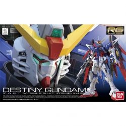 RG 11 Destiny Gundam