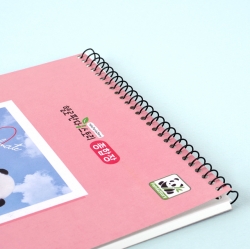 Hello Panda Note Book, Random