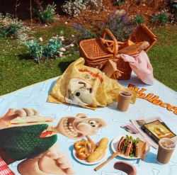 Wallace and Gromit Picnic Matt Picnic Day L