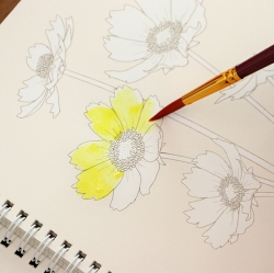 Birth Flower Coloring Book