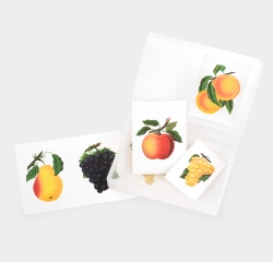 Sticker Pack - Fruit