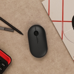Wireless Mouse RX-620