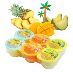 Tropical Pudding 118g  6cups
