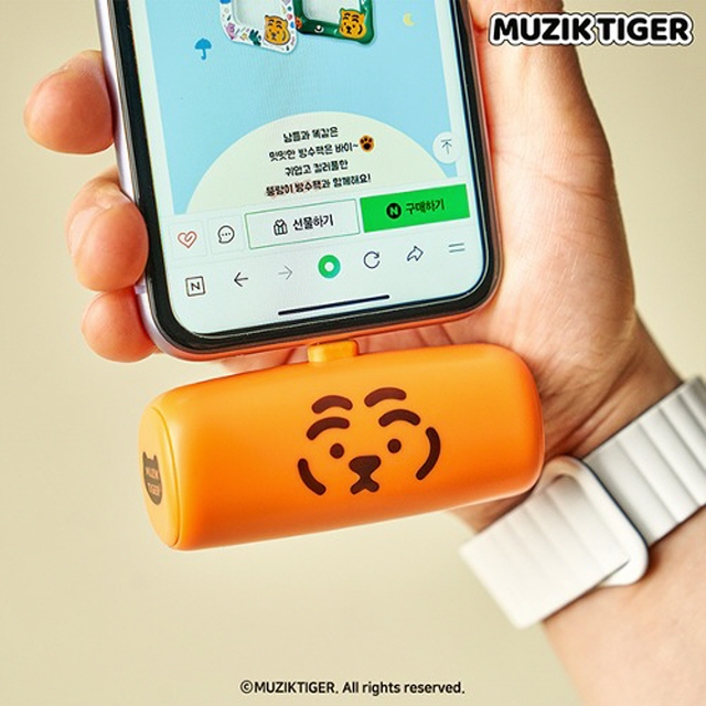 Muzik Tiger Docking Smartphone Battery 500mAh