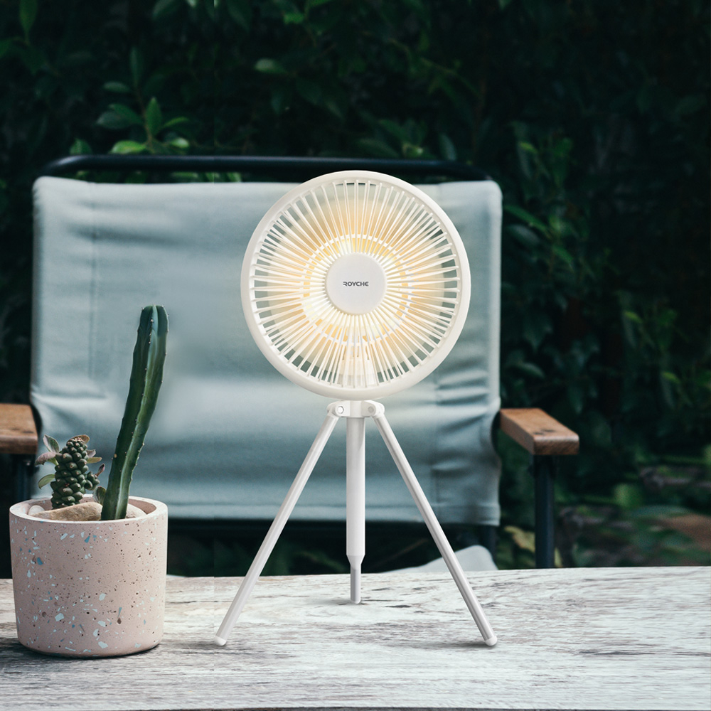 ROYCHE Desk Fan