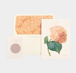 Card Set - Flower A