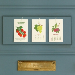 2025 Life Gardener mini Calendar (2 type)