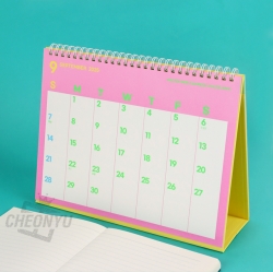 2025 Color Holic Pop Desk Calendar